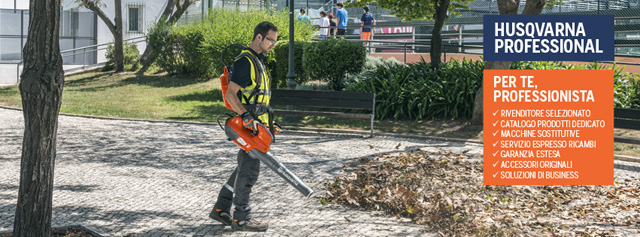 HUSQVARNA PROFESSIONAL 