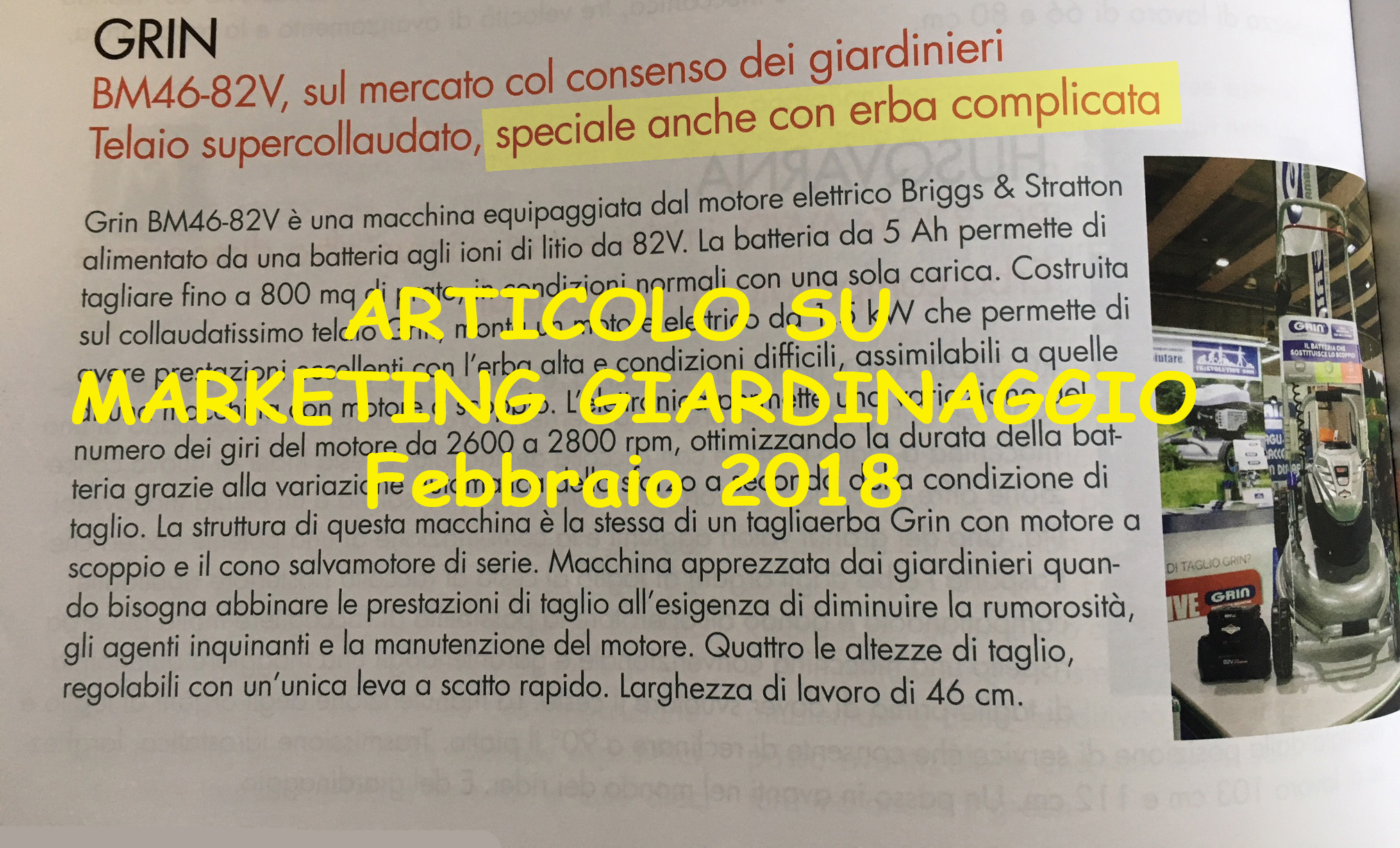 marketing e giardinaggio 